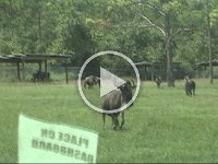 Untitled Clip 01 58